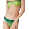 Degrade Bikini Altı