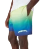 Gradient Mayo Şortu